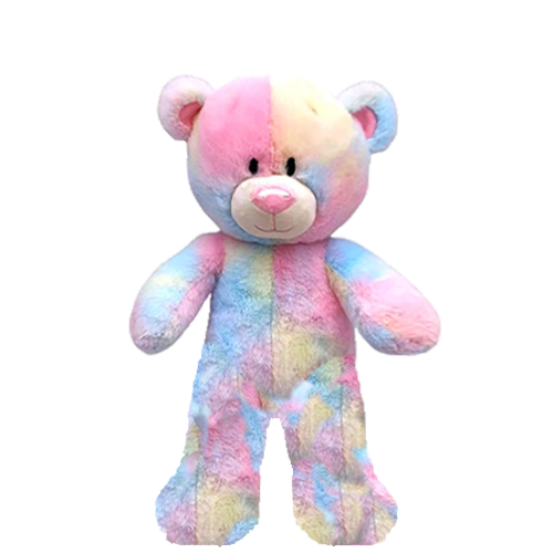 Rainbow Teddy