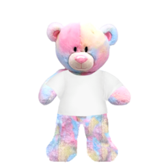 Rainbow Teddy Plushie With White Shirt