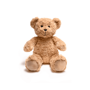 Classic Brown Curly Teddy