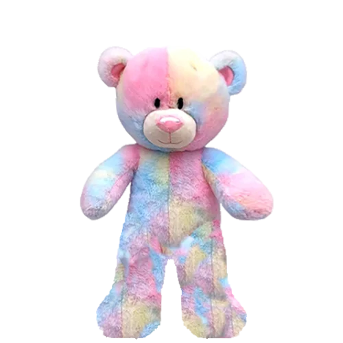 Rainbow Teddy