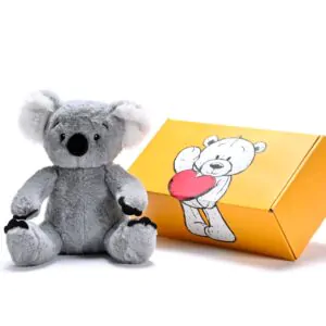 a stuffed Koala soft toy next to a box