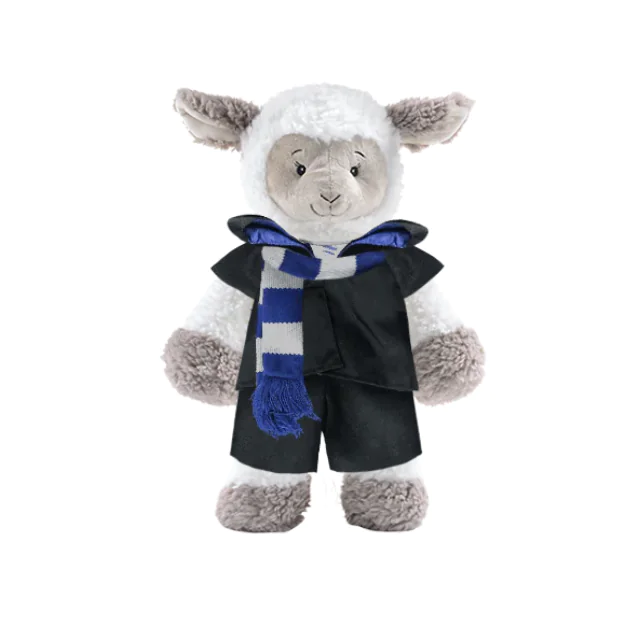 sheep in wizard costume