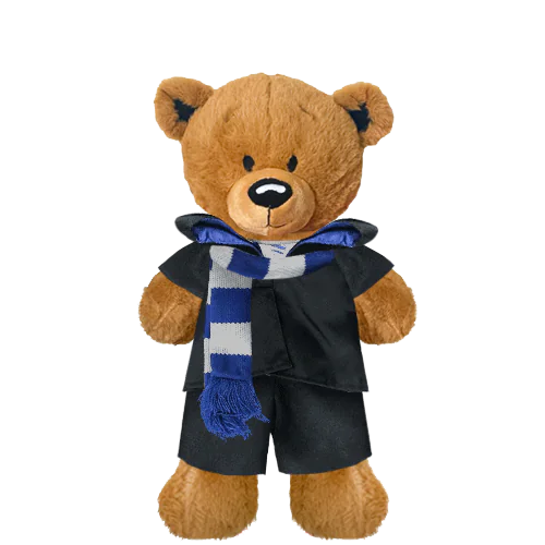 Brown Teddy Plushie With Blue Wizard Costume