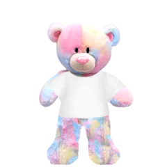 Rainbow Teddy Plushie With White Shirt