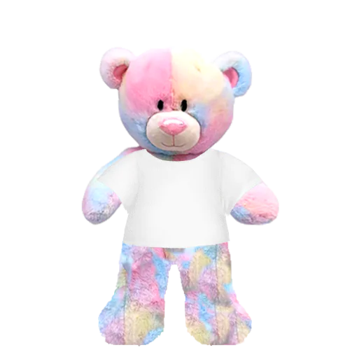 Rainbow Teddy Plushie With White Shirt