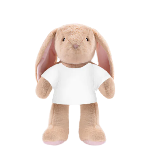Bunny Plushie With White Shirt